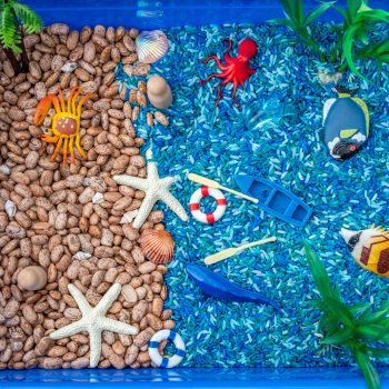 New Beach Sensory Bin - Sensory Play & Learning