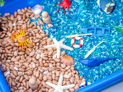 Ocean Sensory Bin - Image 10