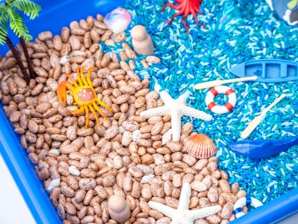 Ocean Sensory Bin - Image 11