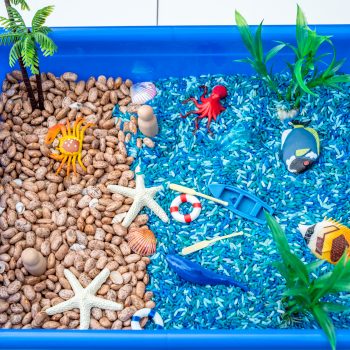 New Beach Sensory Bin - Sensory Play & Learning