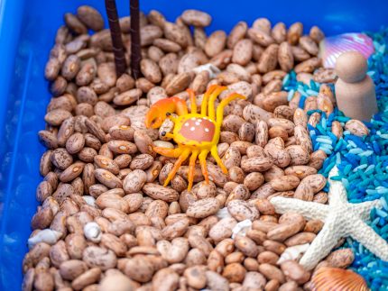 Ocean Sensory Bin - Image 4