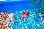 Ocean Sensory Bin - Image 5