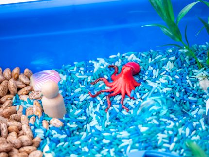 Ocean Sensory Bin - Image 5