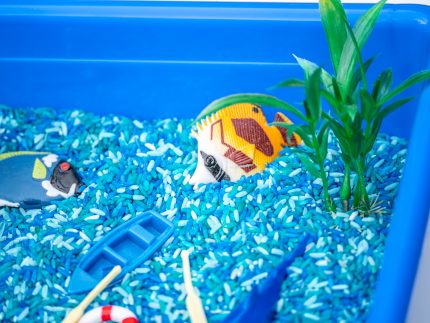 Ocean Sensory Bin - Image 6