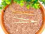 Wooden Spoons/scoops/tongs set - Image 3