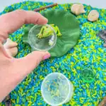Pond Animal Sensory Bin - Image 6
