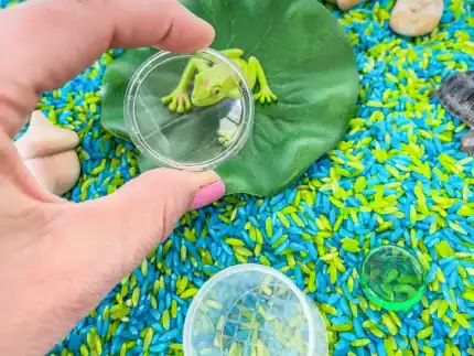 Pond Animal Sensory Bin - Image 6
