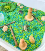 Pond Animal Sensory Bin - Image 4