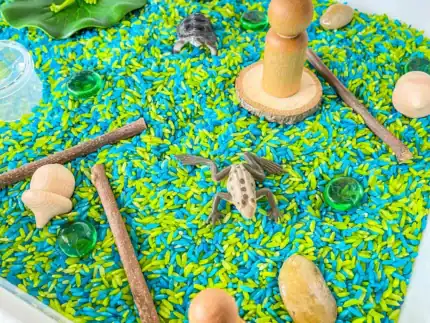 Pond Animal Sensory Bin - Image 4