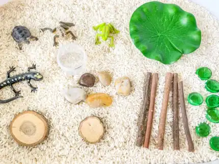Pond Animal Sensory Bin - Image 7