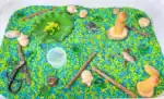 Pond Animal Sensory Bin - Image 5