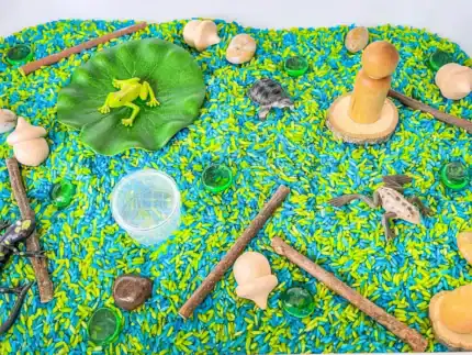 Pond Animal Sensory Bin - Image 5