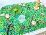Pond Animal Sensory Bin - Image 3