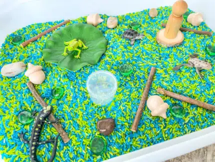 Pond Animal Sensory Bin - Image 3
