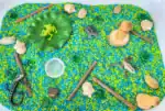 Pond Animal Sensory Bin