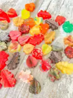 Leaf Loose Parts - Resin Leaves - Image 5