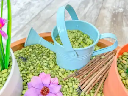 Gardening Sensory Bin - Image 4