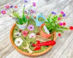 Gardening Sensory Bin