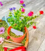 Gardening Sensory Bin - Image 3