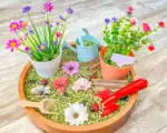Gardening Sensory Bin - Image 8