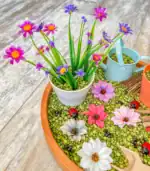 Gardening Sensory Bin - Image 9