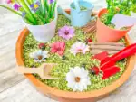 Gardening Sensory Bin - Image 2