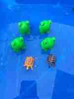 4 Green Speckeled Frogs Sensory bin