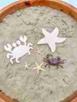 Beach Sensory Bin With Sand Playdough - Image 6