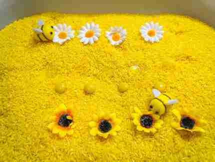 Bee Sensory BIn