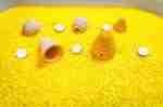 Bee Sensory BIn