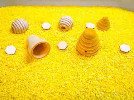 Bee Sensory BIn