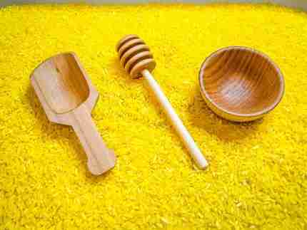 Bee Sensory BIn