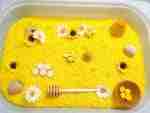 Bee Sensory BIn