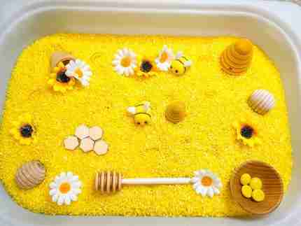 Bee Sensory BIn