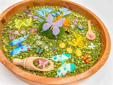 butterfly and flowers sensory bin