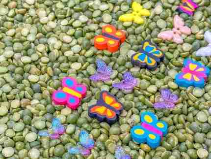 Butterfly Sensory Bin - Image 4