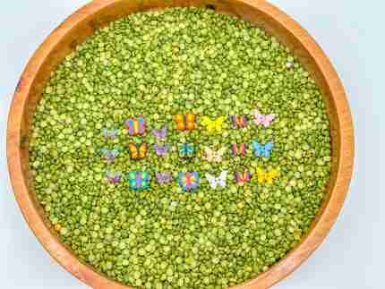 Butterfly Sensory Bin - Image 5