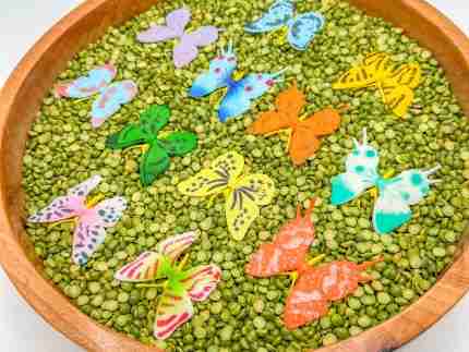 Butterfly Sensory Bin - Image 6