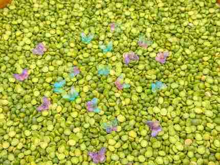 Butterfly Sensory Bin - Image 8