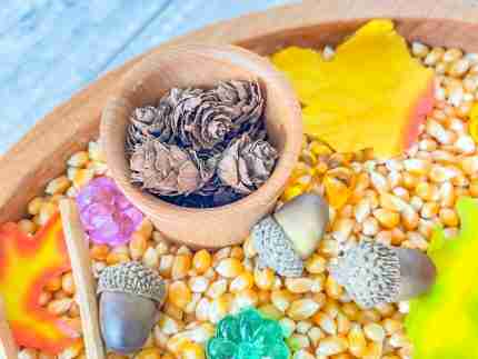 Leaves and Popcorn Fall Sensory Bin