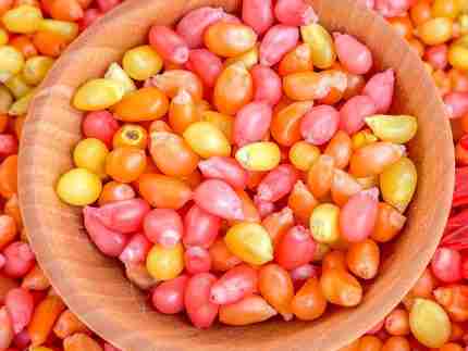Fall Popcorn Sensory Bin