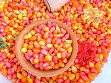Fall Popcorn Sensory Bin