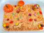 Fall Rice Sensory Bin