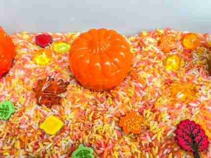 Fall Rice Sensory Bin - Image 8