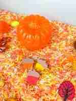 Fall Rice Sensory Bin - Image 2