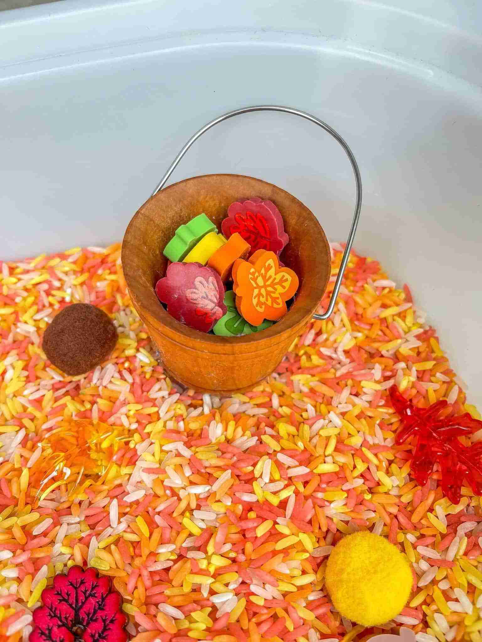 Fall Colored Rice Sensory Bin | Sensory-N-Stuff