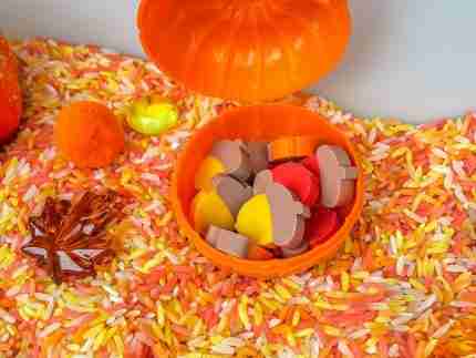 Fall Rice Sensory Bin - Image 4