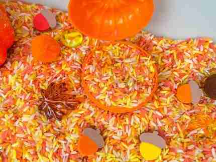 Fall Rice Sensory Bin - Image 5