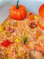 Fall Rice Sensory Bin - Image 6