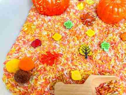 Fall Rice Sensory Bin - Image 7